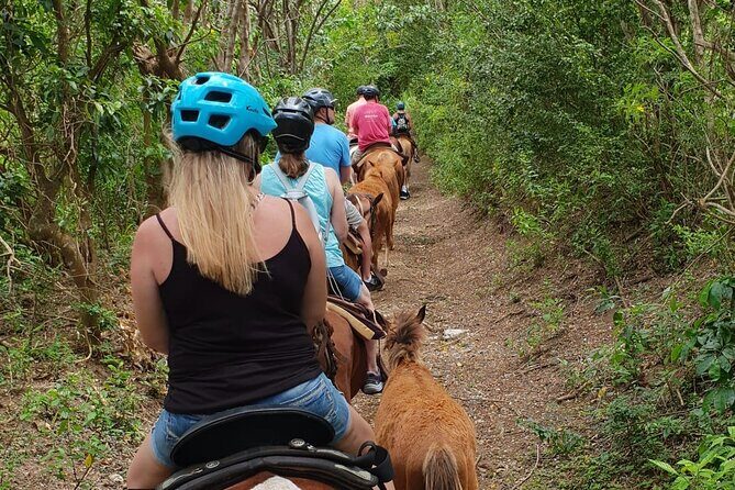 3 Hours Horseback Riding from Nature Trails to Sofa Stone - Key things to know before you go