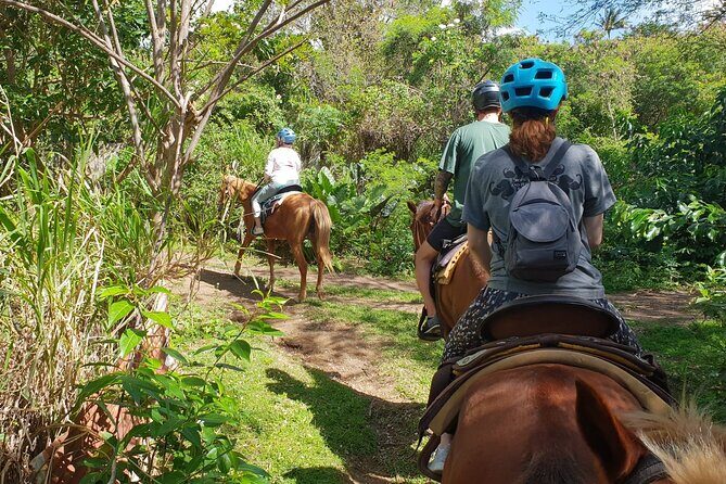 3 Hours Horseback Riding from Nature Trails to Sofa Stone - Steep moments and how to make uphill riding feel easier
