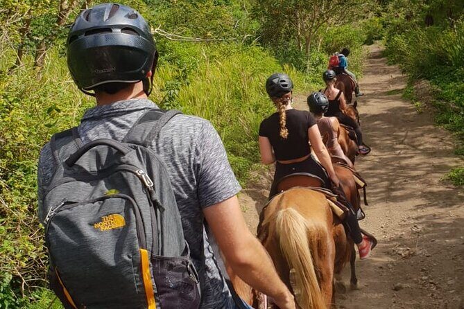 3 Hours Horseback Riding from Nature Trails to Sofa Stone - The top viewpoint: Basseterre, the Caribbean Sea, and Atlantic views