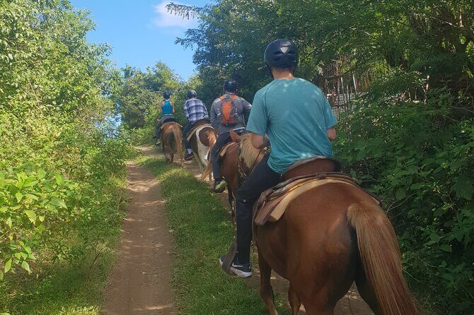 3 Hours Horseback Riding from Nature Trails to Sofa Stone - Sofa Stone: the landmark stop that gives the ride a real ending
