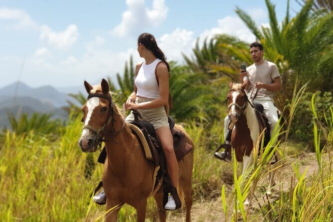 3 Hours Horseback Riding from Nature Trails to Sofa Stone - Pickup, group size, and why the clock matters
