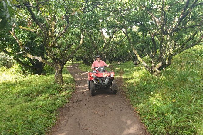 ATV Tour of St Kitts - Pickup, Timing, and Value: Is $110 Worth It?