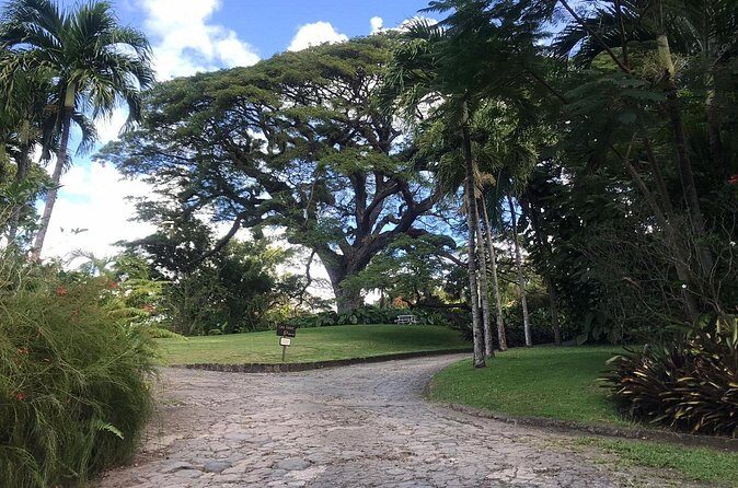 Basseterre Half Day Tour - South Friars Beach: where two oceans look like they’re almost touching