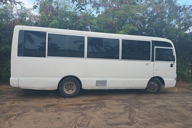 Basseterre Plantation Private Half Day Tour - Who this tour suits best (and who might prefer something else)