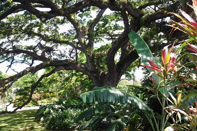 Best of St. Kitts Highlight Tour. - Why this St. Kitts route beats the beach-only day