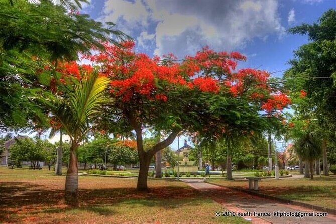 Best of St. Kitts Private Half Day Tour - Romney Manor: 400-Year Sugar Plantation and Free Rum Tasting