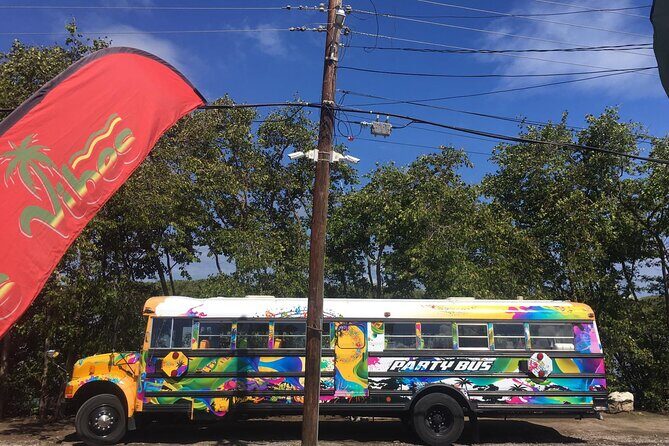 Half Day St. Kitts Party Bus City Excursion and Beach - A singing party bus that still respects your day