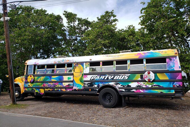 Half Day St. Kitts Party Bus City Excursion and Beach - The Frigate Bay beach stop: swimming, snorkeling, and a lot of bar choices