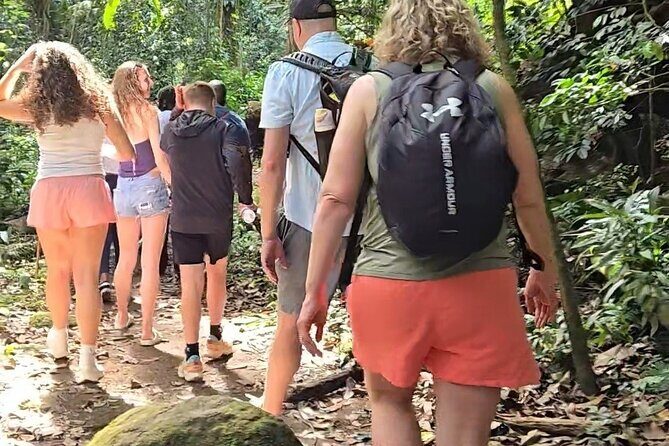 Half-Day St. Kitts Rainforest Hike - Key highlights I think you’ll care about