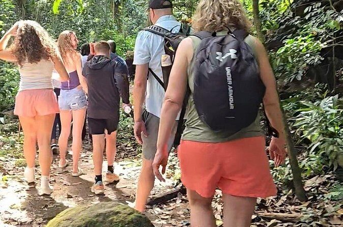 Half-Day St. Kitts Rainforest Hike - The rest of the day: half-day timing that actually works