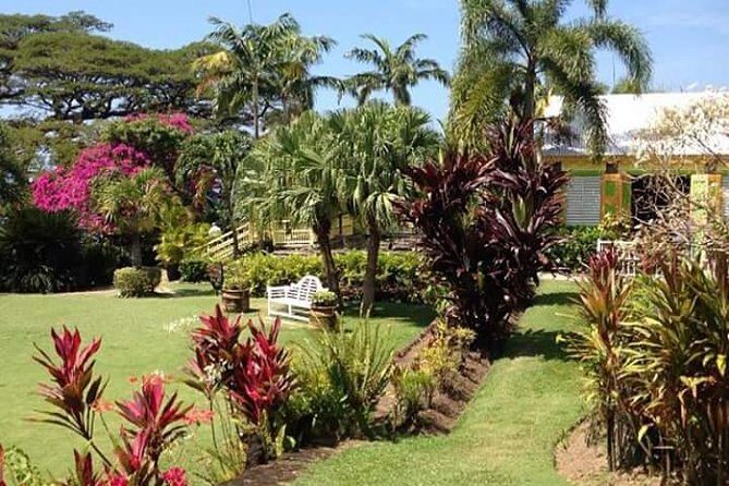 Half-Island Tour of St Kitts - Getting picked up and staying comfortable