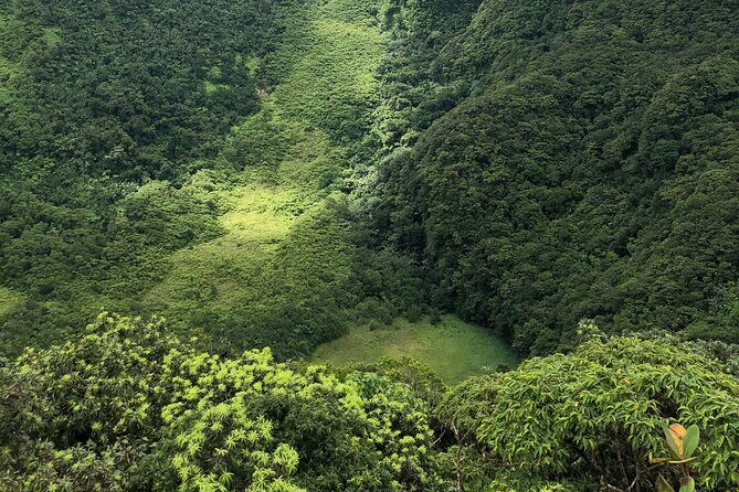 Hike St. Kitts: Highest peak Mount Liamuiga Volcano - Who This Hike Fits Best (And Who Should Skip It)