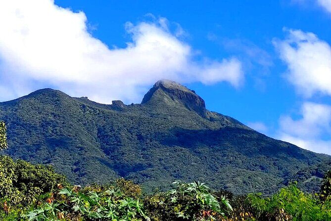 Hike St. Kitts: Highest peak Mount Liamuiga Volcano - Booking Check: Should You Take This Volcano Hike?