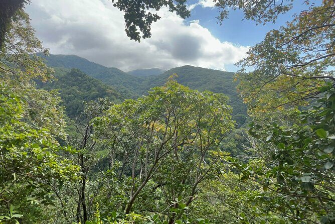 Hike St Kitts: Wingfield Rainforest and Romney Experience - Key highlights to know before you go