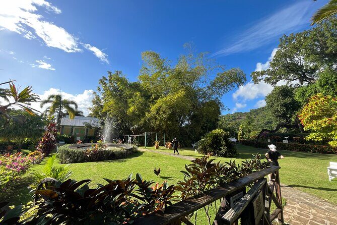 Hike St Kitts: Wingfield Rainforest and Romney Experience - Who the guides are and what that changes for your day