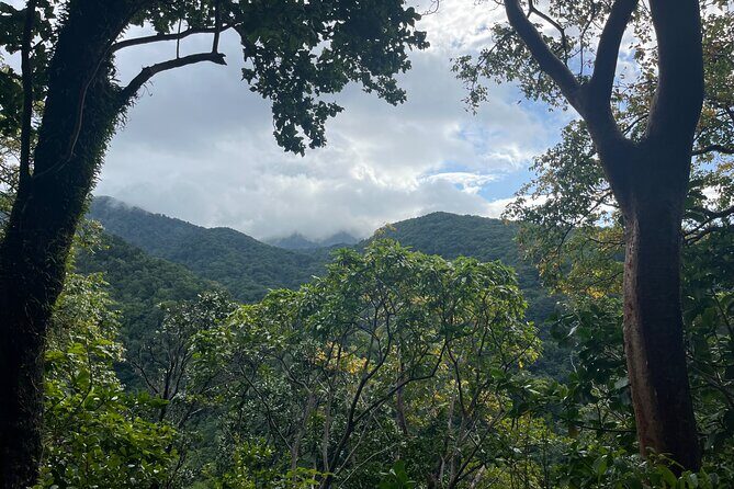 Hike St Kitts: Wingfield Rainforest and Romney Experience - Getting there from Basseterre: pickup, timing, and how the day flows