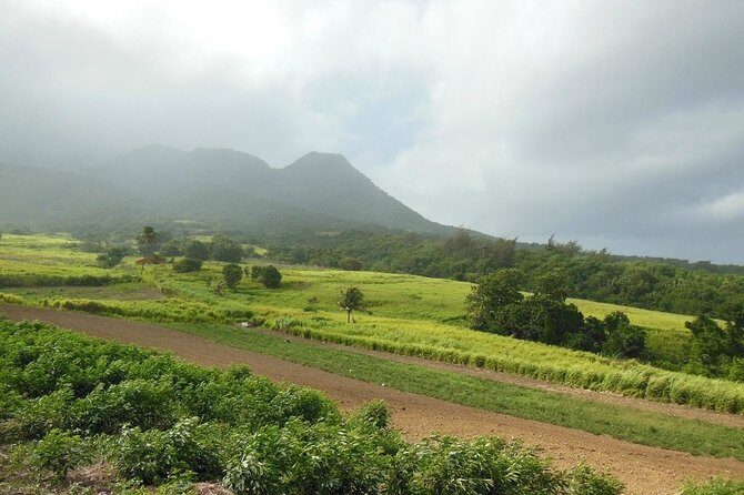 Hiking Mount Liamuiga Volcano in St Kitts - Mount Liamuiga: the climb that earns its summit view