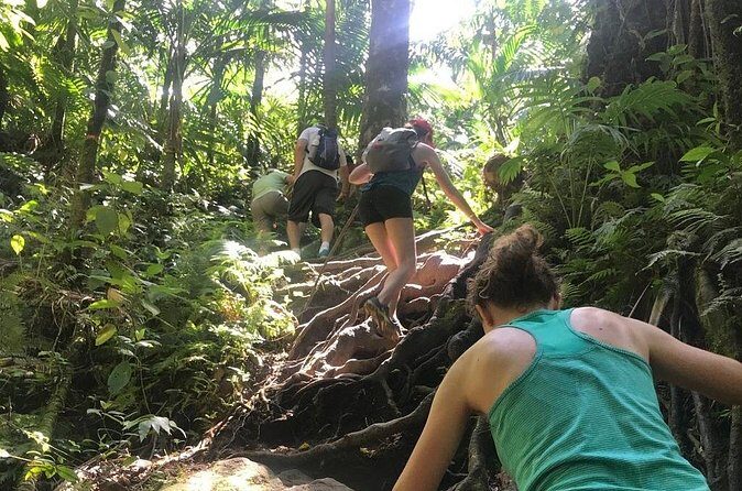 Hiking Mount Liamuiga Volcano in St Kitts - Fitness level: who should book this (and who should think twice)