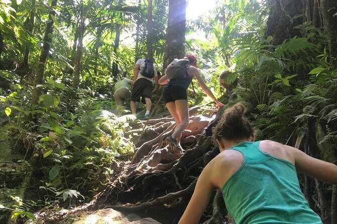 Hiking Mount Liamuiga Volcano in St Kitts - Group size and guide style: what you’re buying besides the views