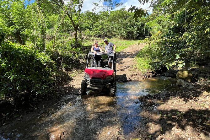 Jungle bikes Dune Buggy - St Kitts by Dune Buggy: What You’re Really Signing Up For