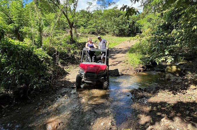 Jungle bikes Dune Buggy - What’s Included (and What You Still Need to Pay)