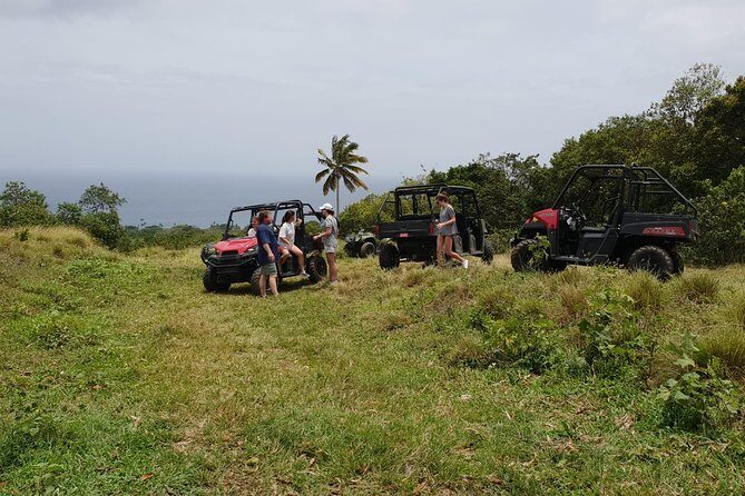 Jungle Bikes Dune Buggy & Beach Tours in St Kitts - Getting ready: briefing, forms, and your first minutes behind the wheel