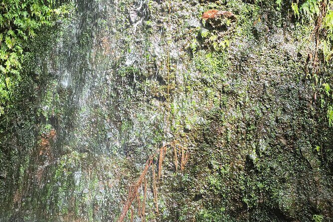 Lawyer Stephen’s Cave & Waterfalls Hike - Advanced Option to the Second Cascade: Scrambling, Rope Climbing, and Rock Hopping