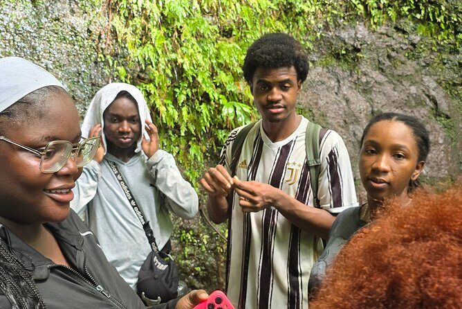 Lawyer Stephen’s Cave & Waterfalls Hike - Price and Value: Is $95 Worth It for a 5-Hour Rainforest Adventure?