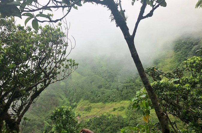 Mount Liamuiga Volcano Tours - Rocky Terrain Climb: What Moderate Fitness Really Means