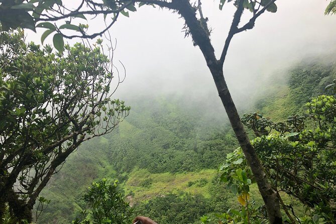 Mount Liamuiga Volcano Tours - Guides, Pace, and Small Group Size (Up to 5)