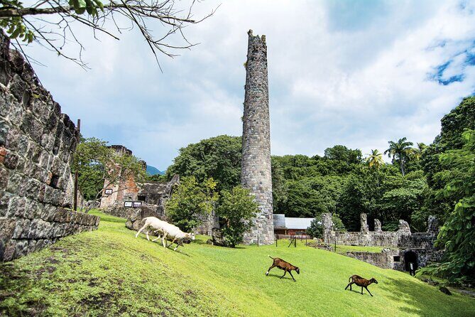 Panoramic Sightseeing Tour of St Kitts - Key Things to Know Before You Go