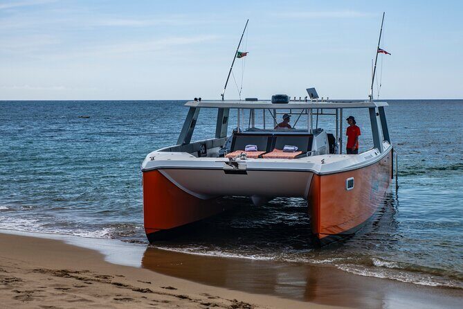 Private Luxury Full day Boat Charter With Lunch - A private 45-foot power cat is the point