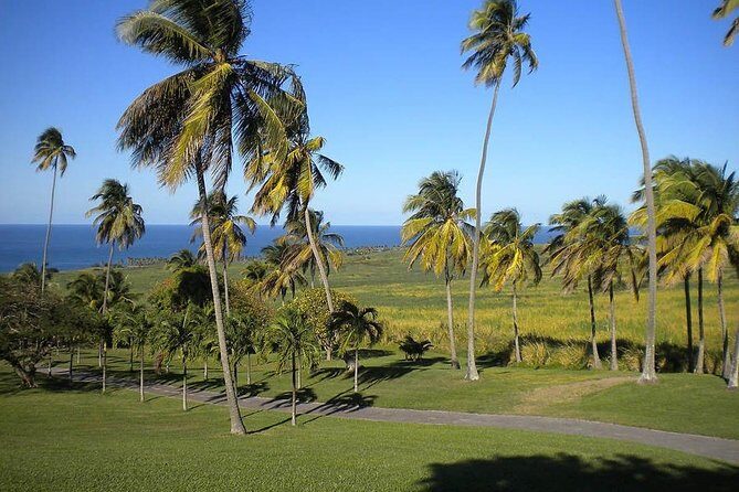 Private Tour in St. Kitts - Key things to know before you go