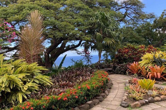 Rosevelt's Special Best of St. Kitts/Panoramic Tour - Guides you might meet: friendly, question-friendly energy