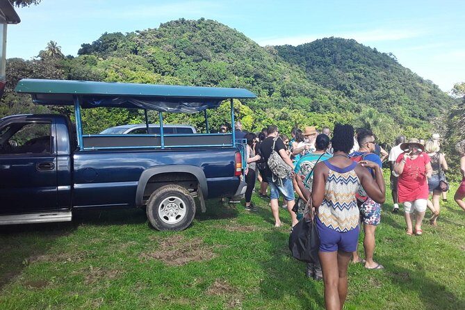 Safari Extravaganza - Safari Extravaganza on St Kitts: What You’re Really Buying for $32