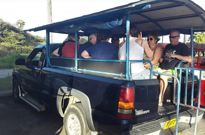 Safari Extravaganza - Saint Peter Basseterre Parish: Rainforest Roads and Monkey-Spotting Odds