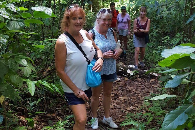 St. Kitts Half-Day Rainforest Tour - Half-Day Rainforest Hiking in St. Kitts: What You Really Get
