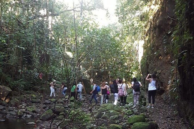 St. Kitts Half-Day Rainforest Tour - From Basseterre to the Trailhead: Pickup, Timing, and the Open-Air Ride