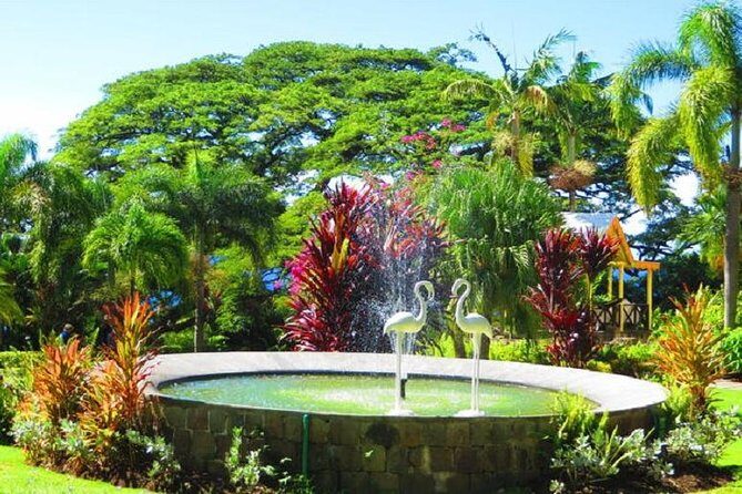 St Kitts Island Tour (Reconfirm Ship or Hotel) - Romney Manor and Caribelle Batik: gardens and fabric dye magic
