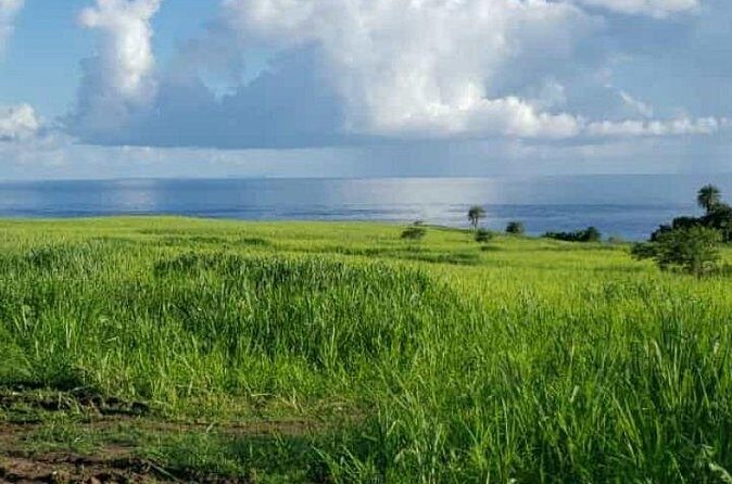 St Kitts Rainforest Nature Tour - Getting there and meeting up: keep it simple, keep it confirmed