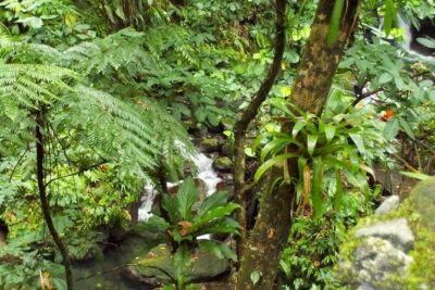 St. Kitts Rainforest Tour - Getting to Port Zante and boarding the open safari truck