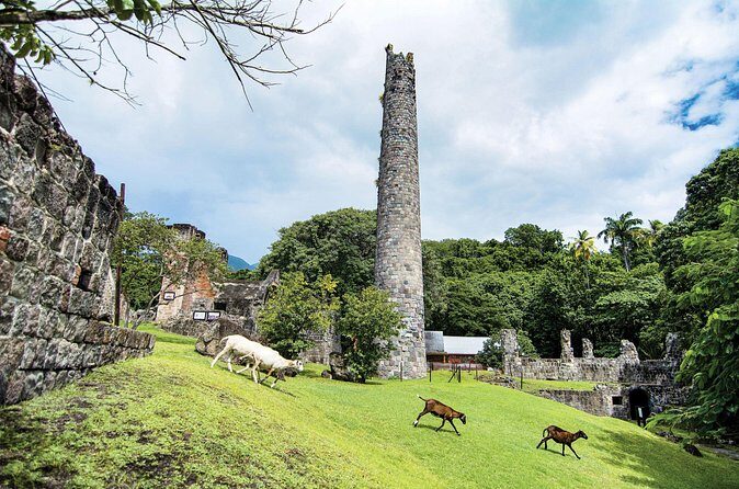 St Kitts Rainforest Tour - How active is it? A rainforest hike with flexibility