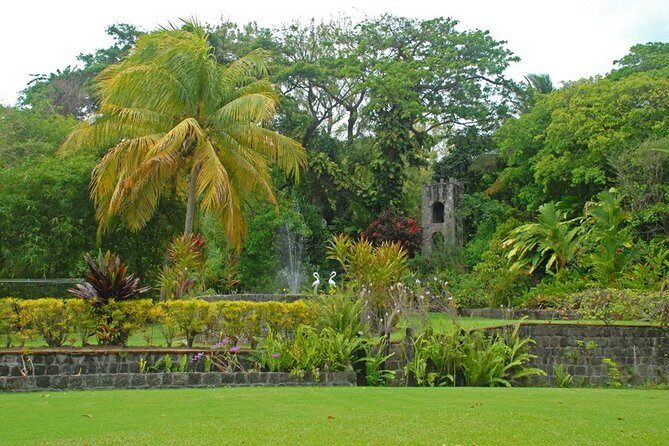 St Kitts Rainforest Tour - Who this tour fits best (and who should skip it)