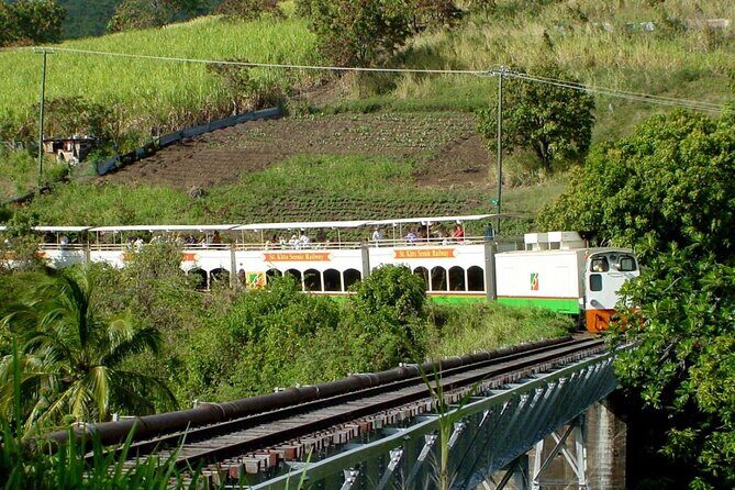 St. Kitts Scenic Train Experience - Comfort, crowds, and motion sickness: plan like a local