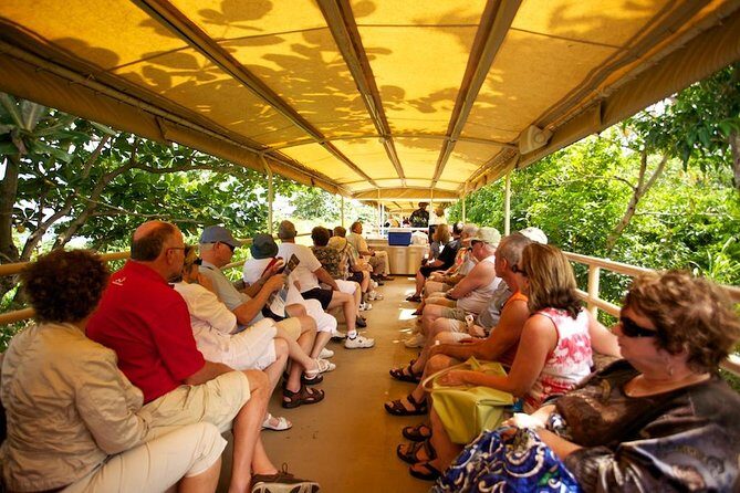 St Kitts Scenic Train Tour (Hotel or Ship) - Pickup and timing: how the 3-hour loop plays out