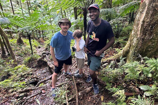St.Kitts Volcano Hike To Mt. Liamuiga (Highest Peak On Island) - Stop 1: Mt. Liamuiga and the crater-rim payoff