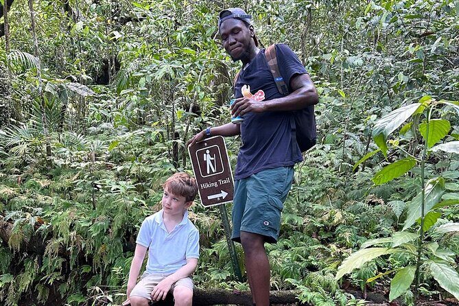 St.Kitts Volcano Hike To Mt. Liamuiga (Highest Peak On Island) - Getting there from the port: pickup, meeting time, and timing stress