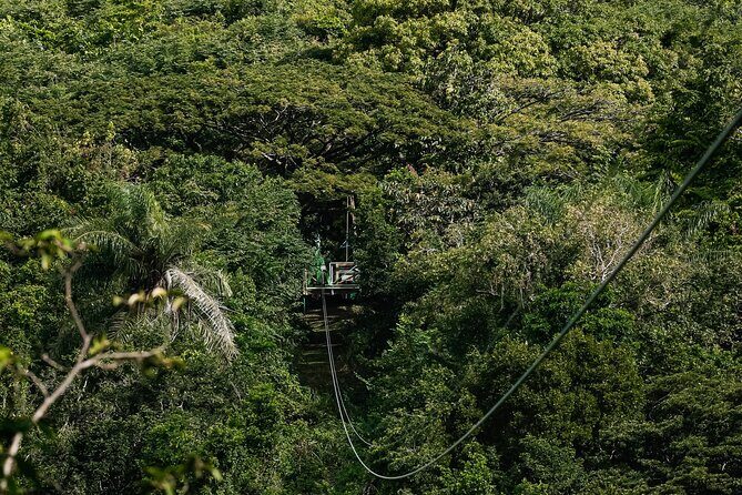 St. Kitts Zipline Experience - Key Takeaways Before You Go