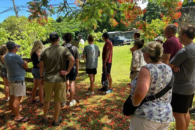 The Best of Both Worlds {The Duel Tour Of St. Kitts & Nevis} - Wingfield Manor and Timothy Hill: rum history meets big views