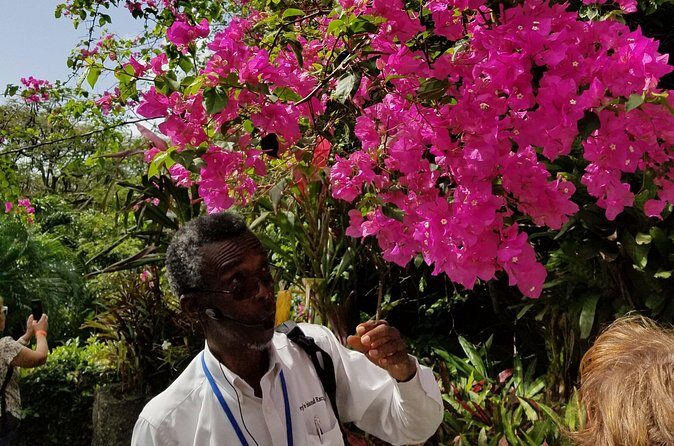 The Grand Tour of St. Kitts - Carabelle Batik and Shopping Time: Bringing Home a Piece of St. Kitts
